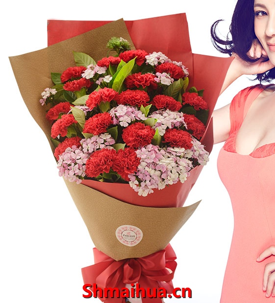 儿女情-22朵红色康乃馨,配花和绿叶搭配红灰色包装纸,精致包装